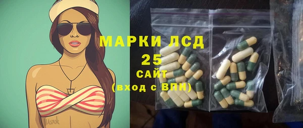 сатива Вяземский