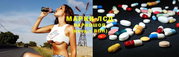 ПСИЛОЦИБИНОВЫЕ ГРИБЫ Горняк