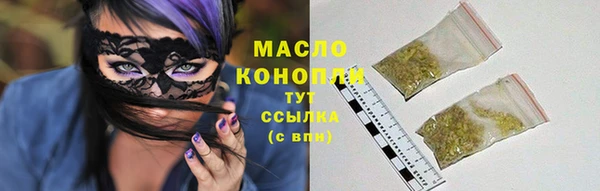 сатива Вяземский