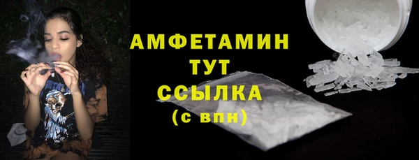 ПСИЛОЦИБИНОВЫЕ ГРИБЫ Горняк