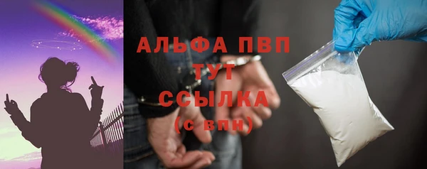сатива Вяземский
