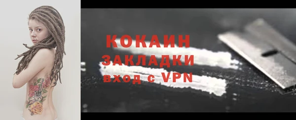 сатива Вяземский