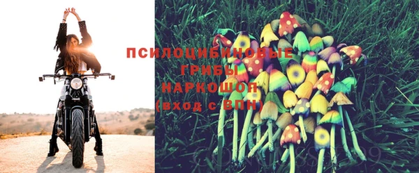 сатива Вяземский
