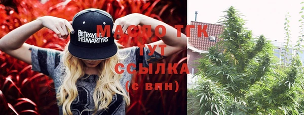 ПСИЛОЦИБИНОВЫЕ ГРИБЫ Горняк