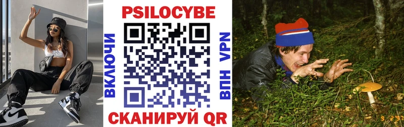 купить закладку  Зверево  Галлюциногенные грибы Psilocybine cubensis 